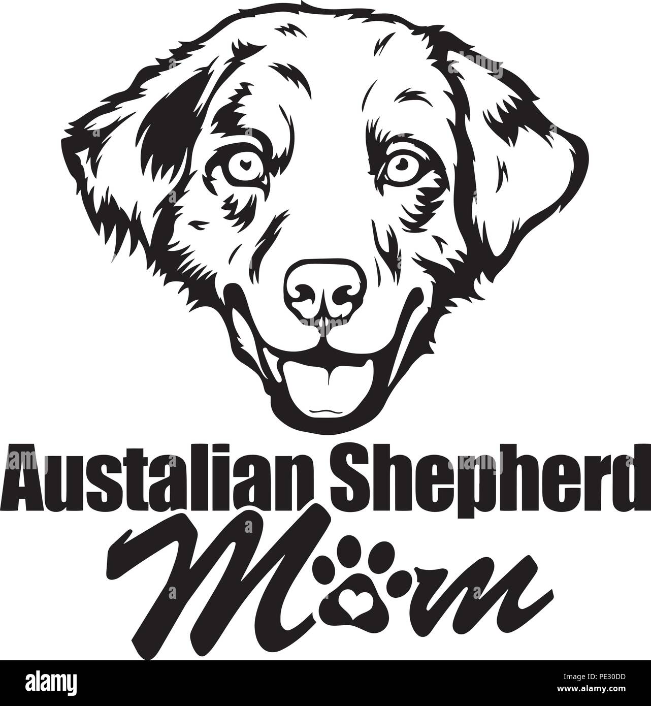 Australian Shepherd Dog Breed Pet Puppy Isolated Head Face