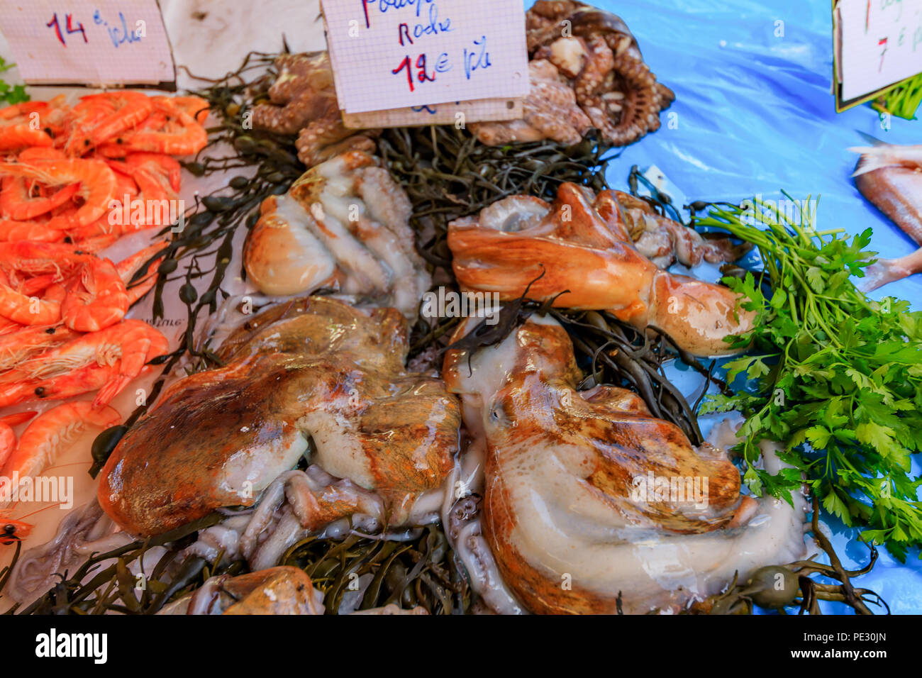 Fresh octopus and shrimp on display at the fish market in Nice France Stock Photo