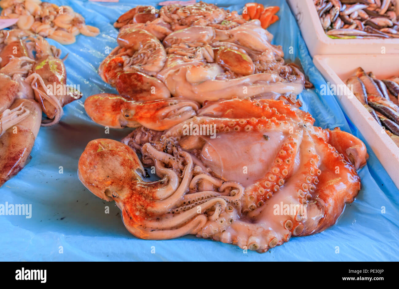 Fresh octopus on display at the fish market in Nice France Stock Photo