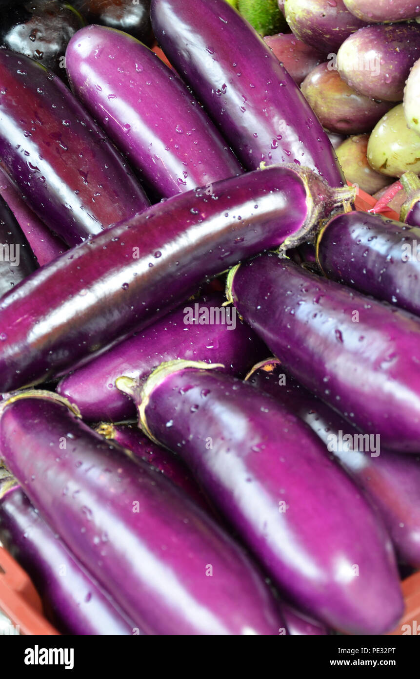 Raw ripe Eggplant display at Vegetable Stall of Local Market at Little India, Singapore Stock