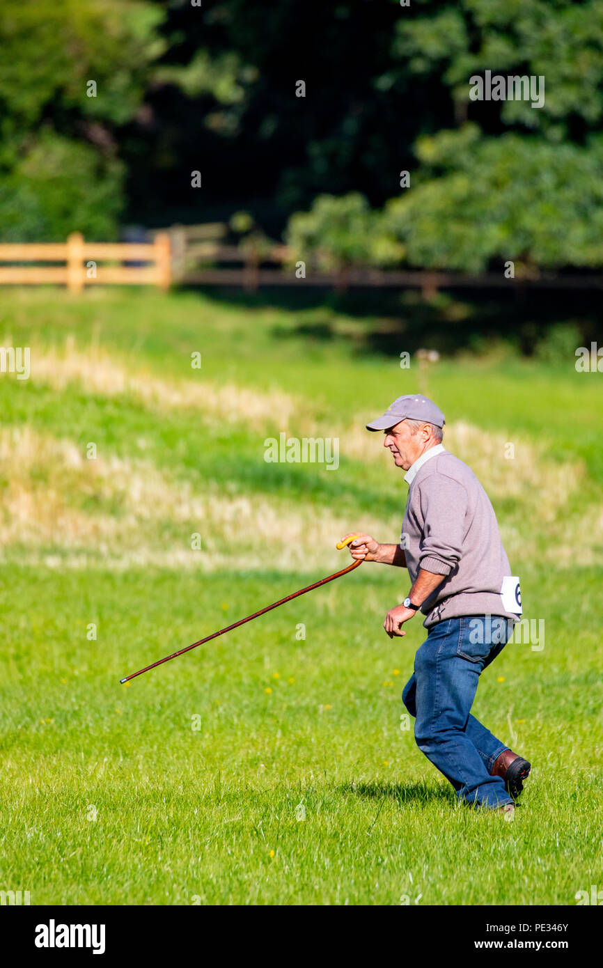 Shepherds crook hi-res stock photography and images - Alamy