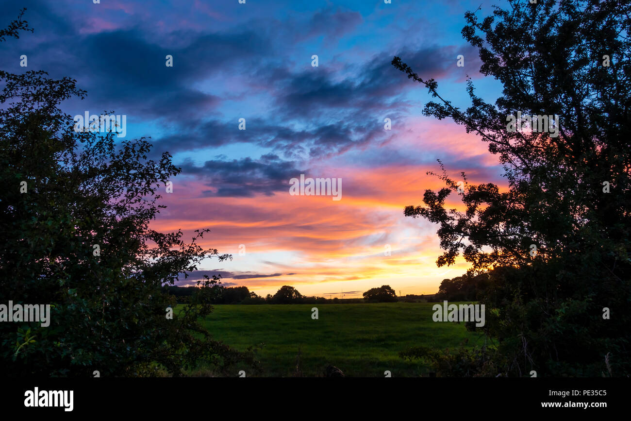 Beautiful summer sunset Stock Photo
