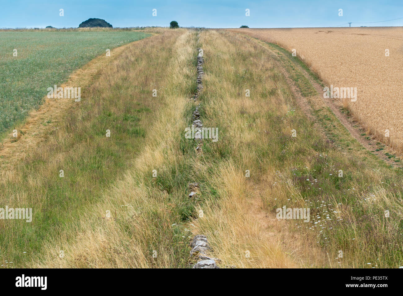 Strip agriculture fields hires stock photography and images Alamy
