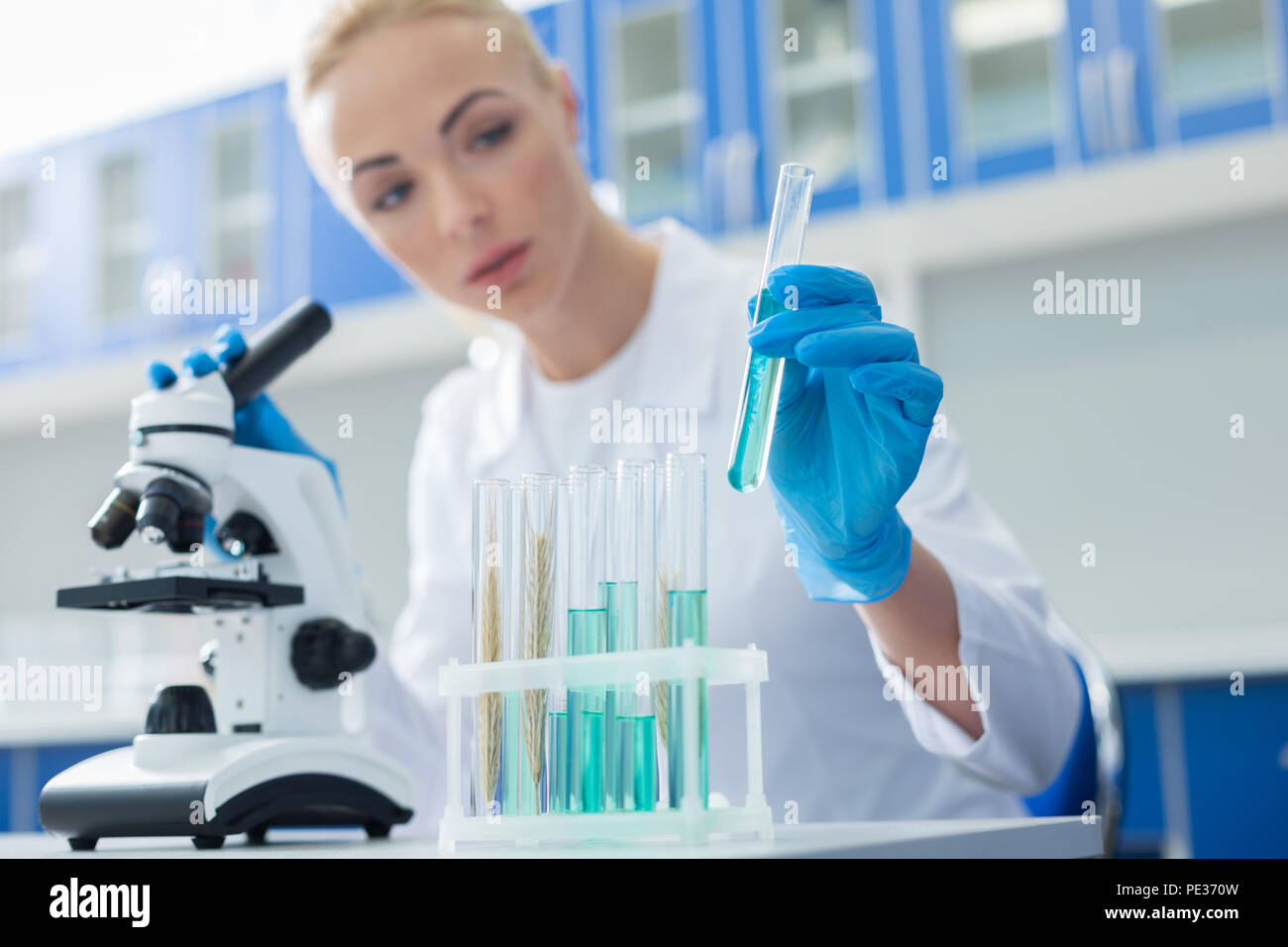 Laboratory samples. Selective focus of test tubes with blue reagents
