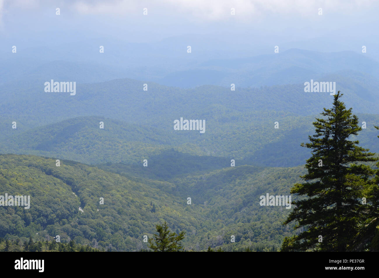 Scenic View Photographic Landscape Mountains Valley Top Down Vista Background Green Forest Blue Ridge mountain range panorama  Scattered Clouds Fog Stock Photo