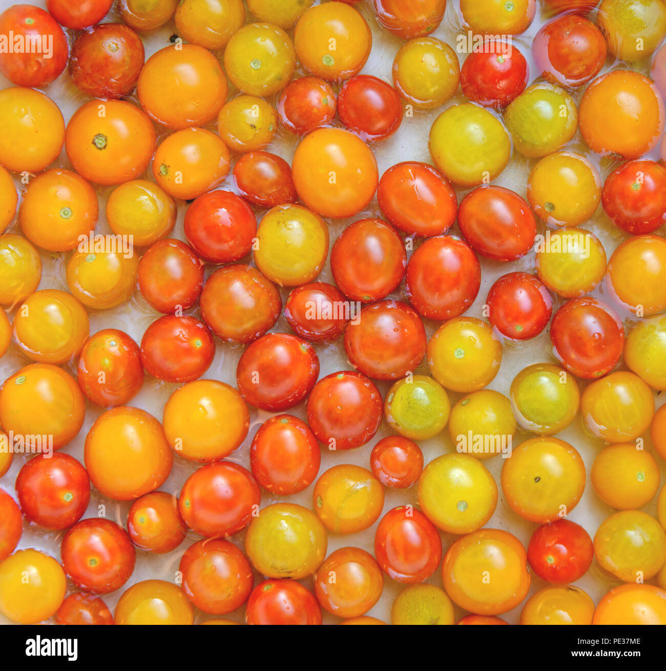 Analogous colors hi-res stock photography and images - Alamy