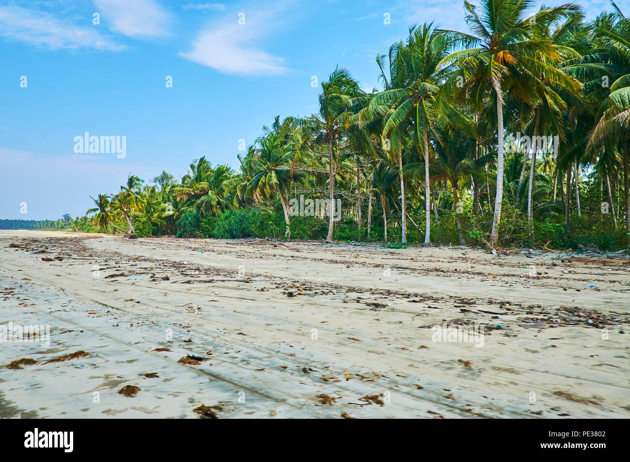 The free miles of wild beach with a line of jungle forest, Ngwesaung ...