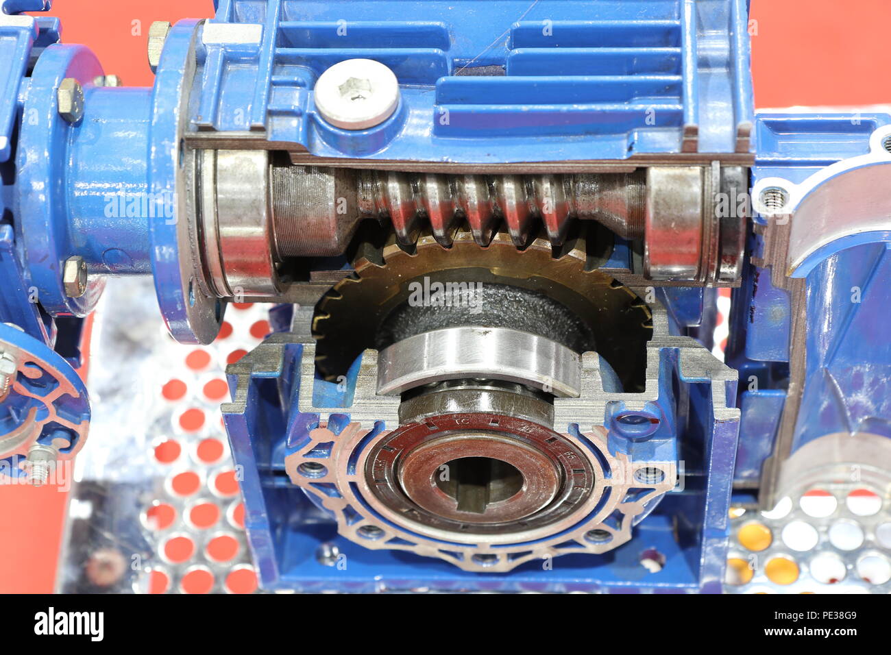 cross section of worm gear pump ; selective focus Stock Photo Alamy