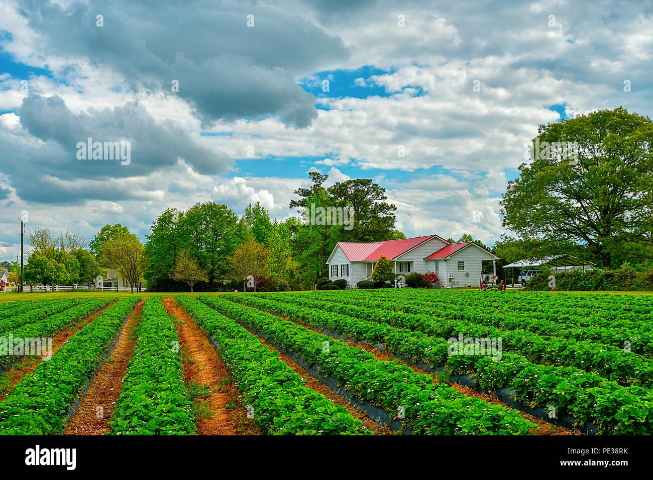 American Farming Photography American Farming Photography