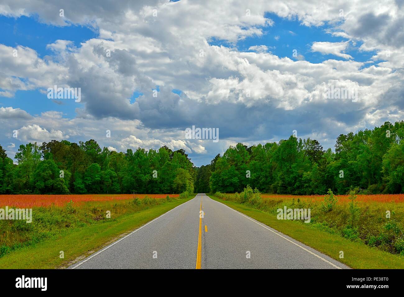 A colorful wide open road landscape view with a dramatic cloudy sky. Stock Photo