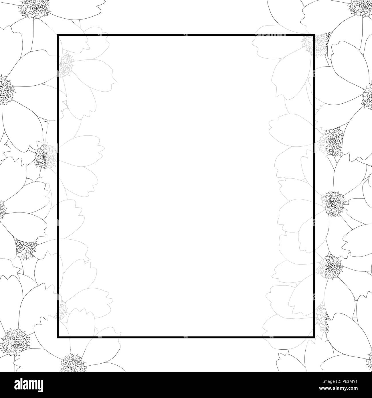 cosmos flower outline banner card border. vector