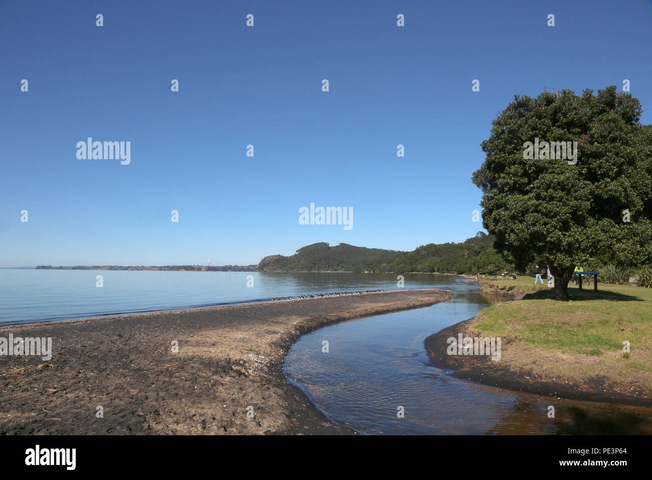 Cornwallis Beach, west Auckland Stock Photo - Alamy