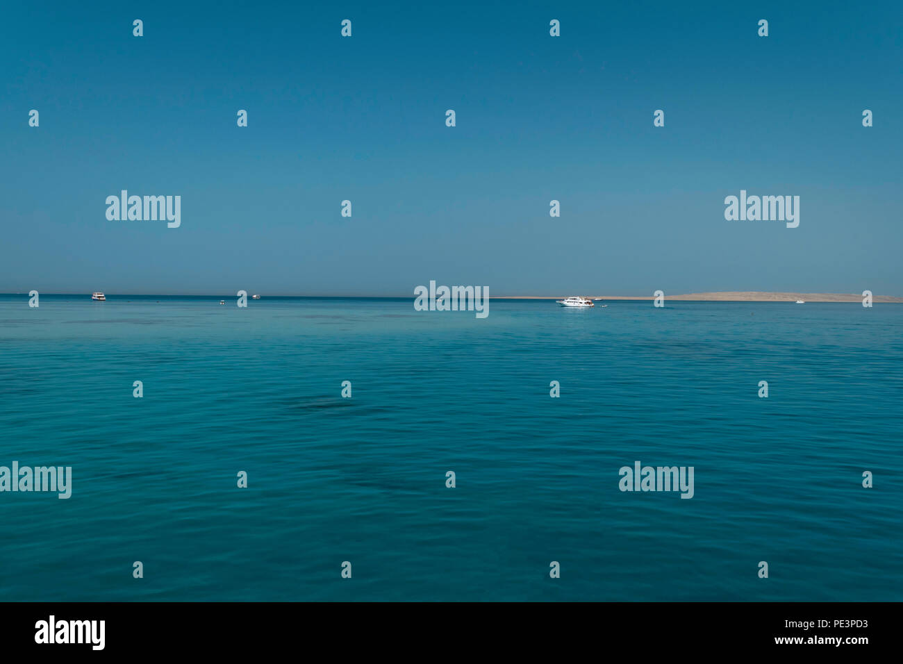 White yacht drifting in the waters of the Red Sea Stock Photo - Alamy