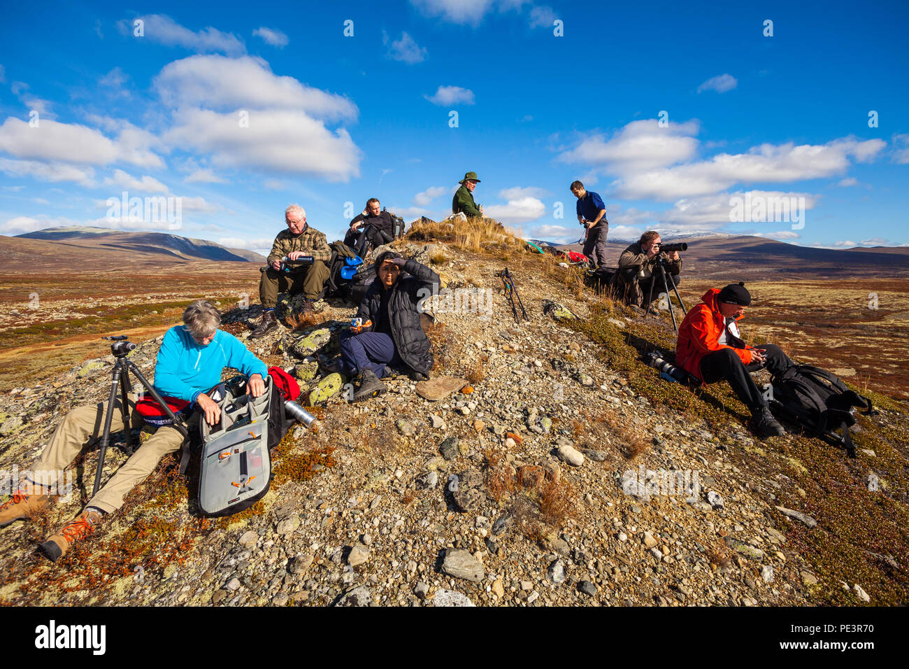 A group of nature tourists are taking a break during a hike in Dovrefjell national park, Norway. Stock Photo