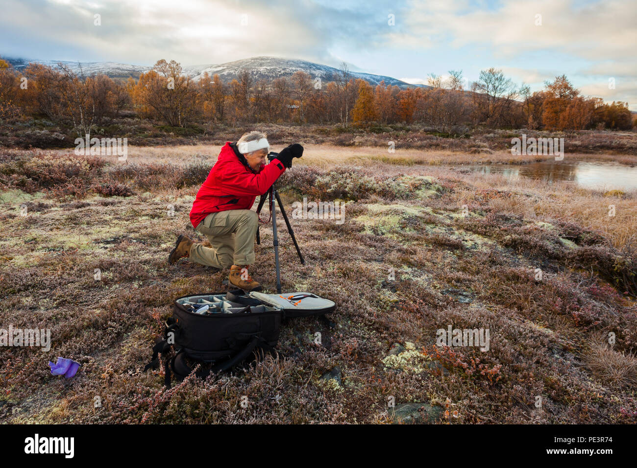 Outdoor photographer taking pictures at Fokstumyra nature reserve, Dovre, Norway. Stock Photo