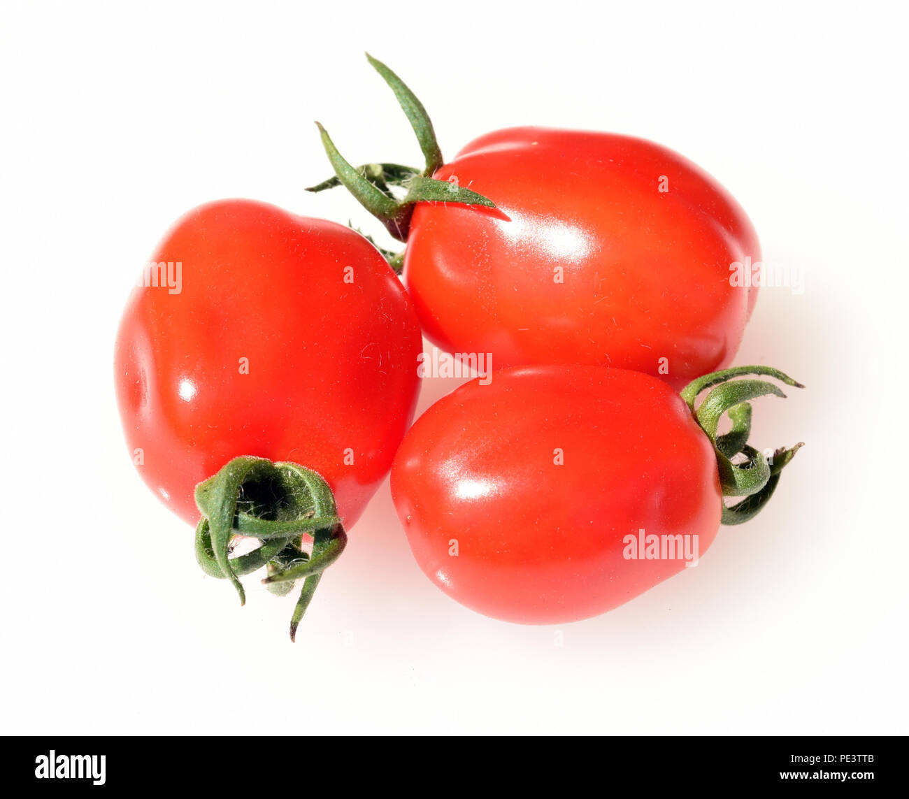 Pflaumen-Buschtomate, Romello, F1, Tomate, Lycopersicon, esculentum Stock Photo