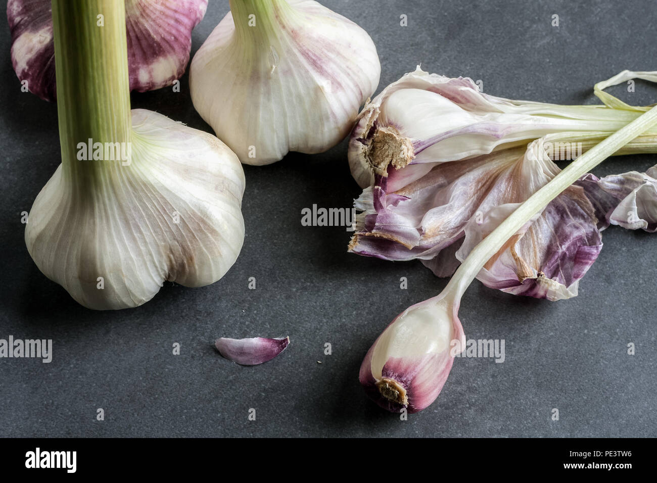 Cloves of garlic and bulb Stock Photo Alamy