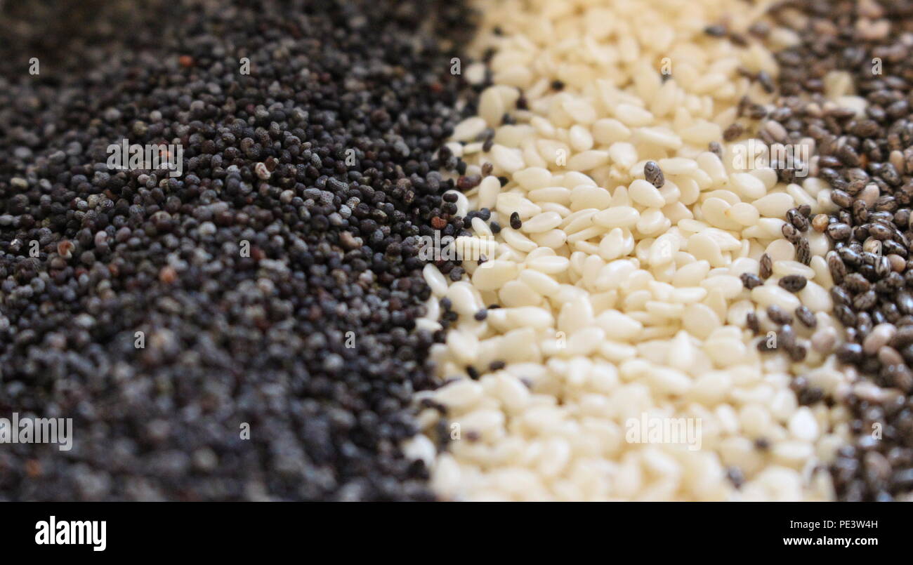 Close Up Photograph Of A Variety Of Seeds Including Blue Poppy Seeds Sesame And Chia Seeds In Neat Rows Stock Photo Alamy Flax was cultivated in ancient egypt where its fibers entombed mummies and dressed egyptian priests. https www alamy com close up photograph of a variety of seeds including blue poppy seeds sesame and chia seeds in neat rows image215215185 html