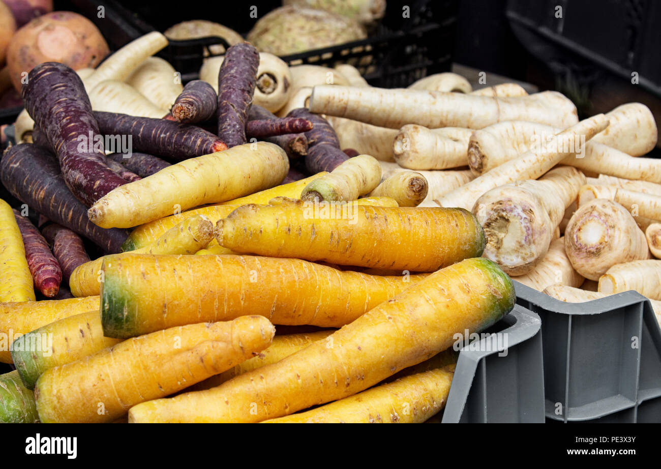 Different kinds of carrot and parsnip in a box at market. Stock Photo