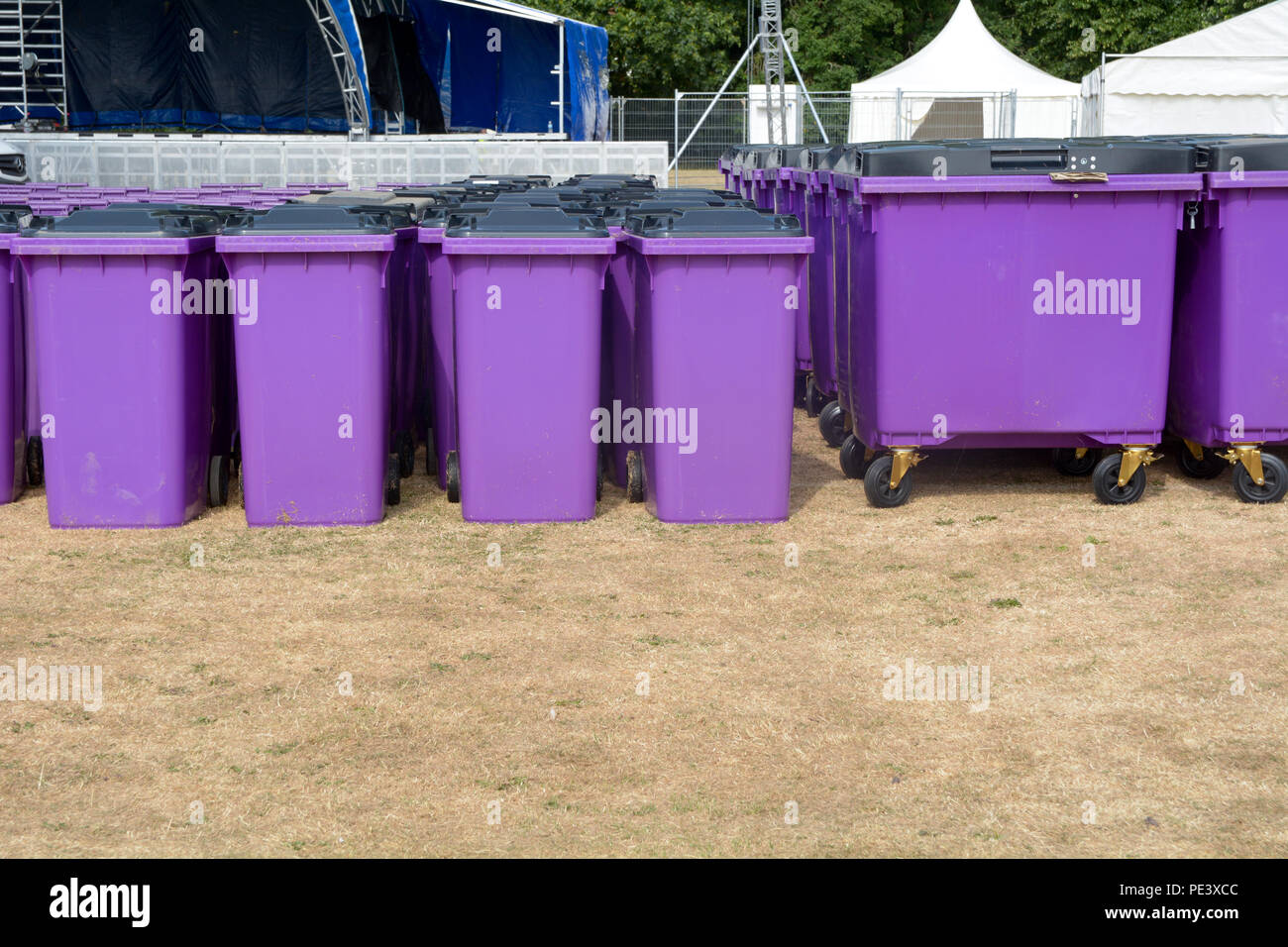 Rows of purple plastic wheelie bins at festival hires stock