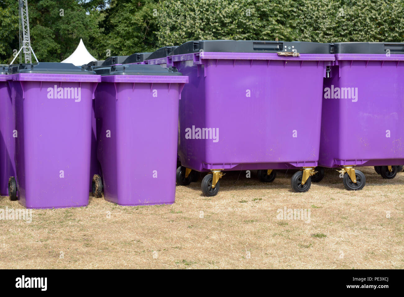 Rows of purple plastic wheelie bins at festival to collect litter Stock Photo Alamy