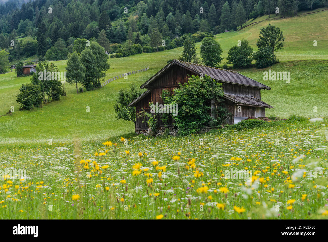 Summer time meadow with with hay barn near Fulpmes town-village in the Stubaital valley of the Austrian Tyrol Stock Photo