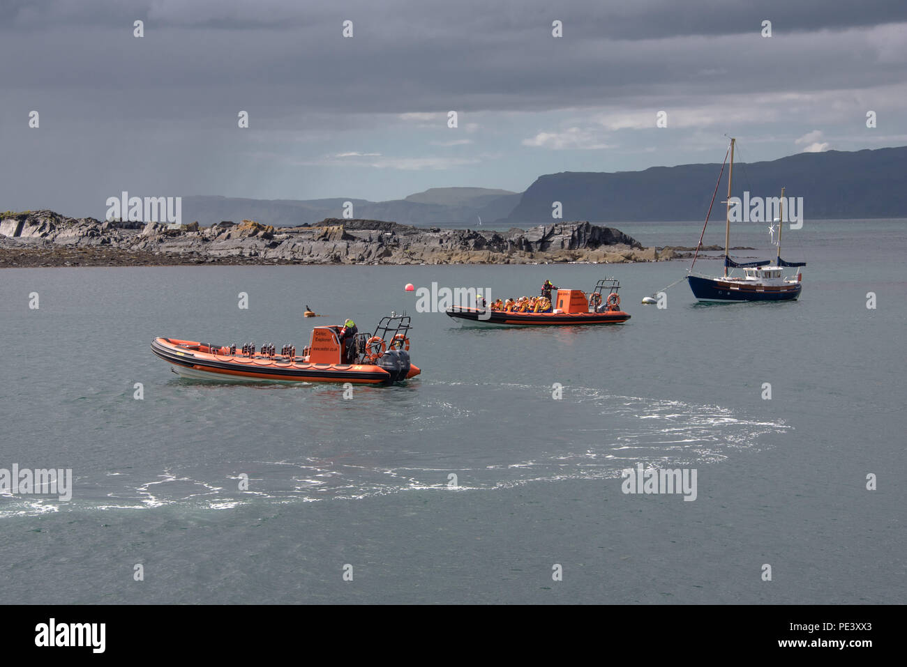 Seals Rhib Rhib boat whale hi-res stock photography and images - Alamy