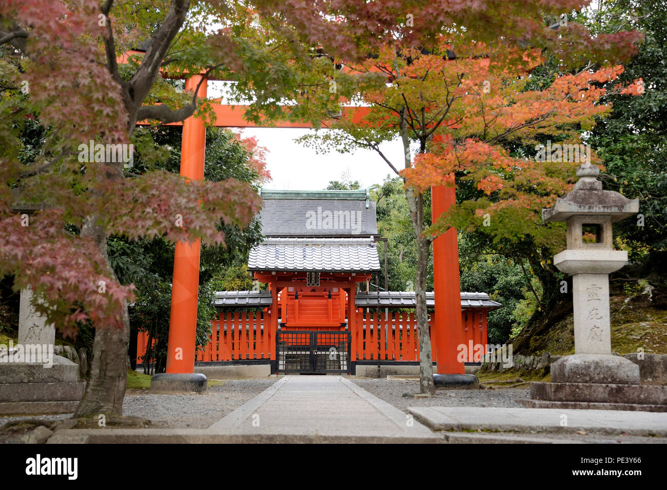 Tenryu ji Zen temple in Kyoto, Japan is an United Nations World Heritage site. Stock Photo