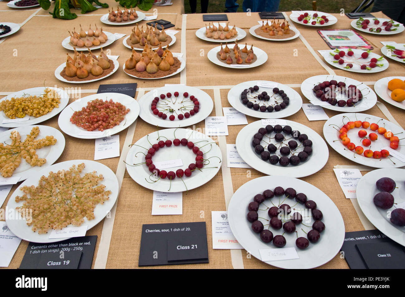 Prizewinning fruit & shallots on display at RHS Tatton Park flower show Cheshire England UK Stock Photo