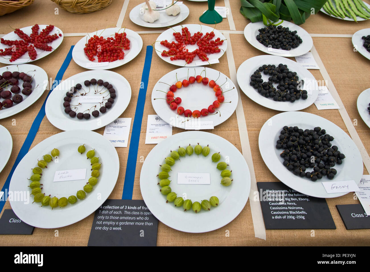 Prizewinning fruit on display at RHS Tatton Park flower show Cheshire England UK Stock Photo