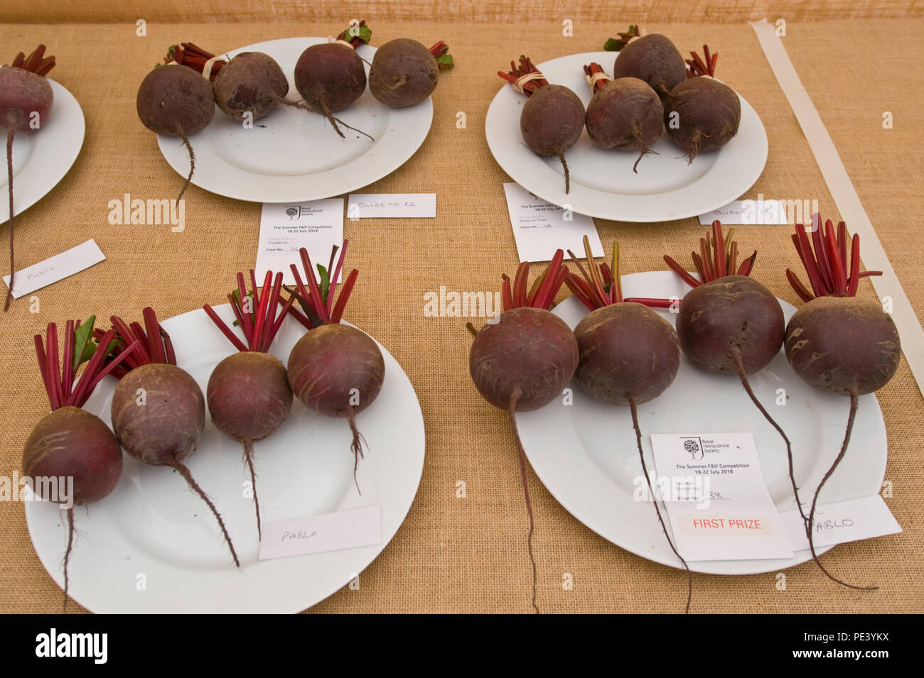 Prizewinning beetroot exhibited at RHS Tatton Park flower show Cheshire England UK Stock Photo