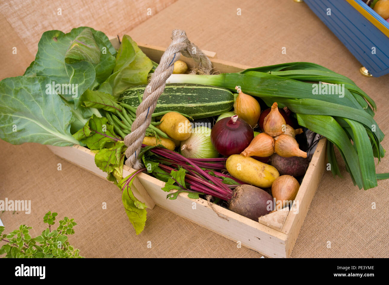 Box of vegetables exhibited at RHS Tatton Park flower show Cheshire England UK Stock Photo