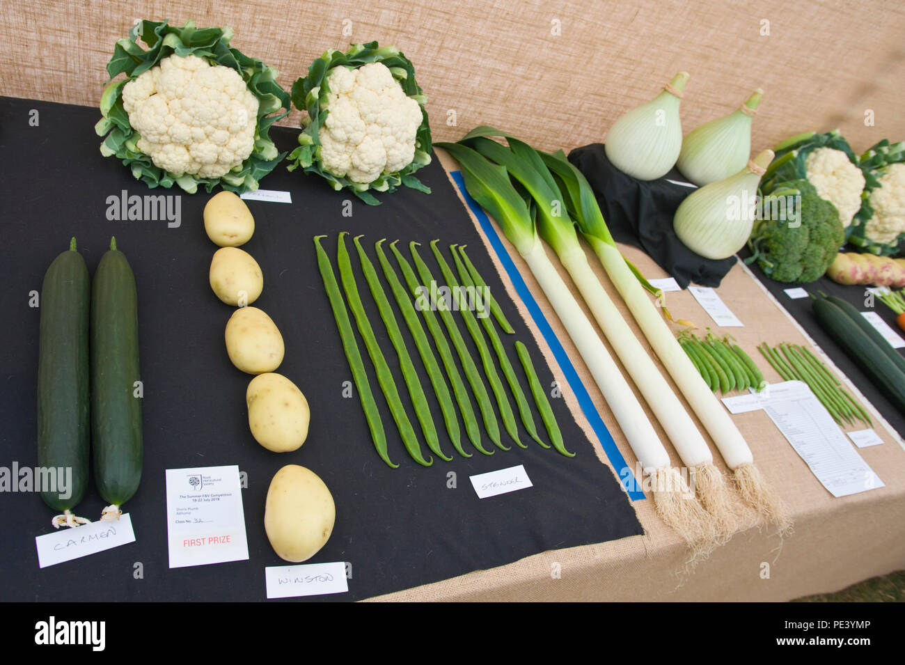 Prizewinning vegetables exhibited at RHS Tatton Park flower show Cheshire England UK Stock Photo