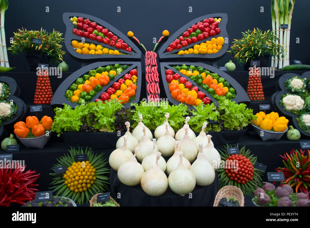 Display by the National Vegetable Society at RHS Tatton Park flower show Cheshire England UK Stock Photo