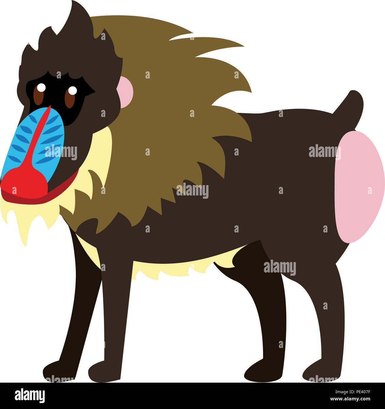 Mandrill wild animal Stock Vector