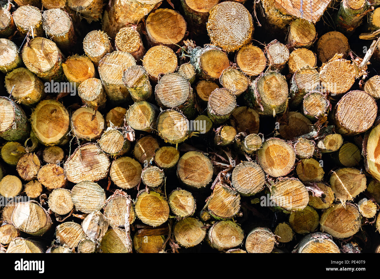 Wallpaper, background with a picture of pile of chopped fire wood Stock ...