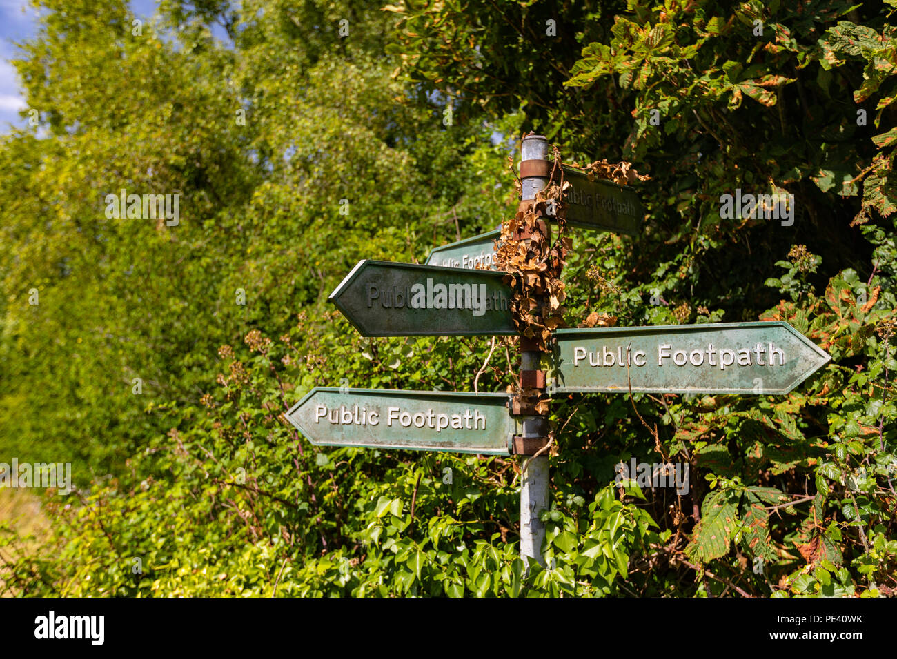 Multiple signs pointing towards public footpaths, countryside