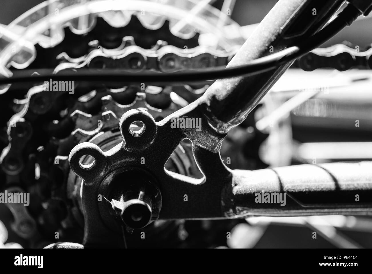 Closeup image of the mechanical parts of a bikes rear gear cog system