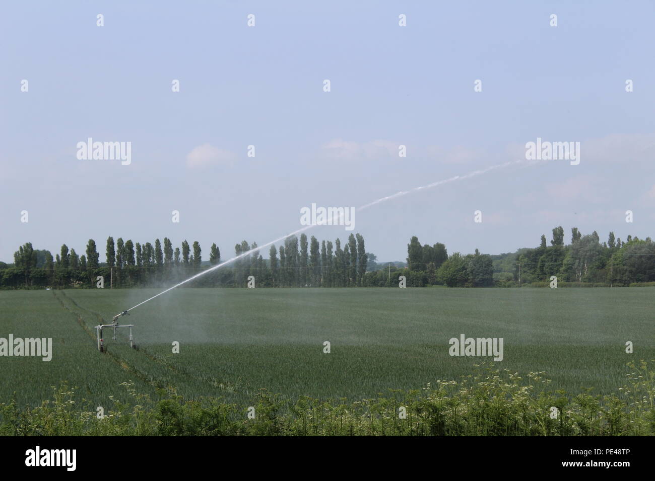 Field being watered by Circle Irrigation or centre-pivot irrigation system in Selby North Yorkshire UK Stock Photo