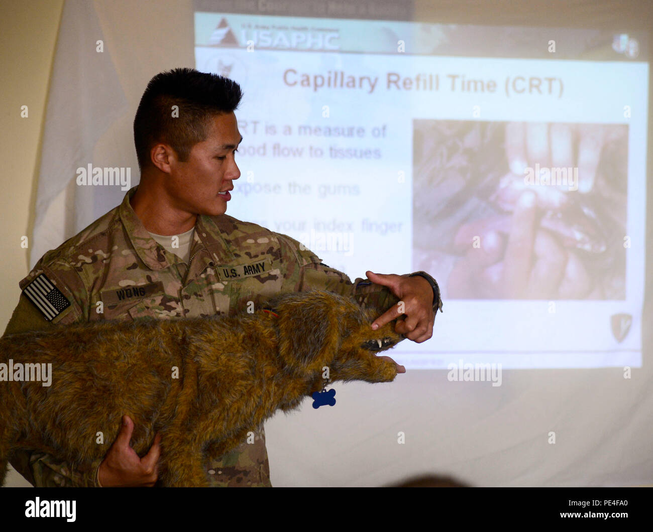 Capillary refill hires stock photography and images Alamy