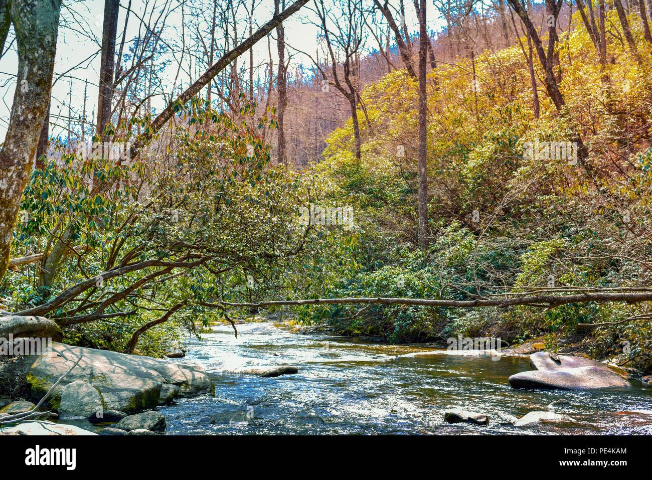 A beautiful colorful forest river landscape in fall. Stock Photo