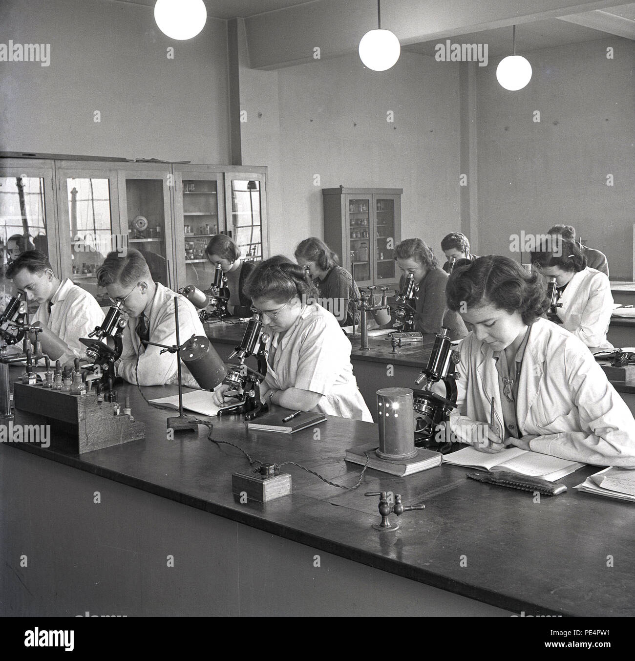 1950s, historical, young adult science undergraduates using microscopes in their studies in a university classroom, England, UK. Stock Photo