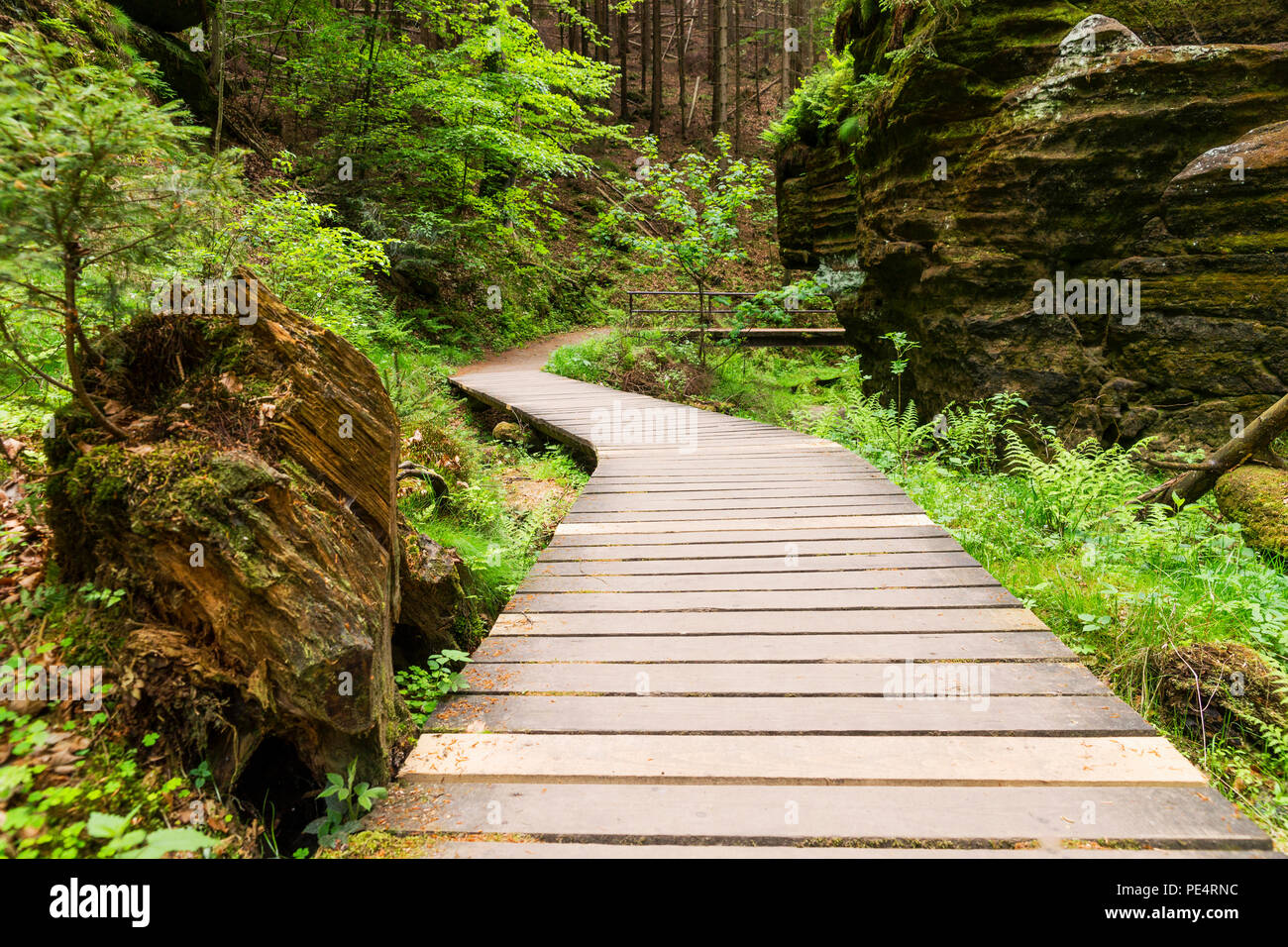 Wandern in der boehmischen Schweiz Stock Photo