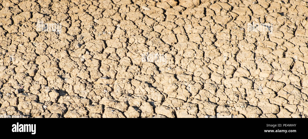 Close up of dried out river bed in Southwold, Suffolk, in drought conditions of 2018 Stock Photo