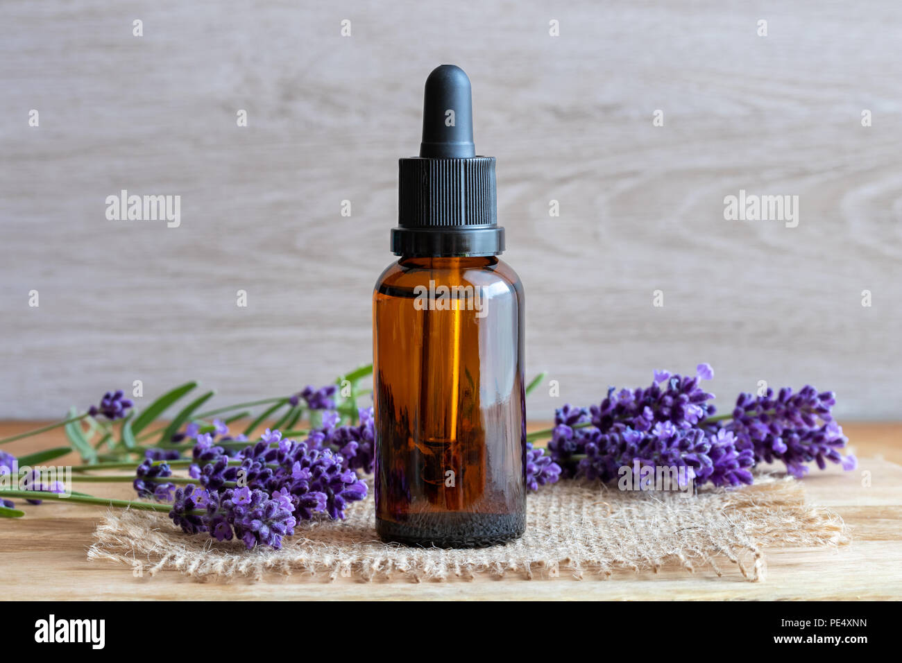 A bottle of essential oil with fresh blooming lavender twigs Stock ...