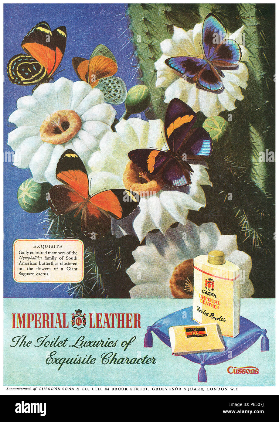 cussons talcum powder