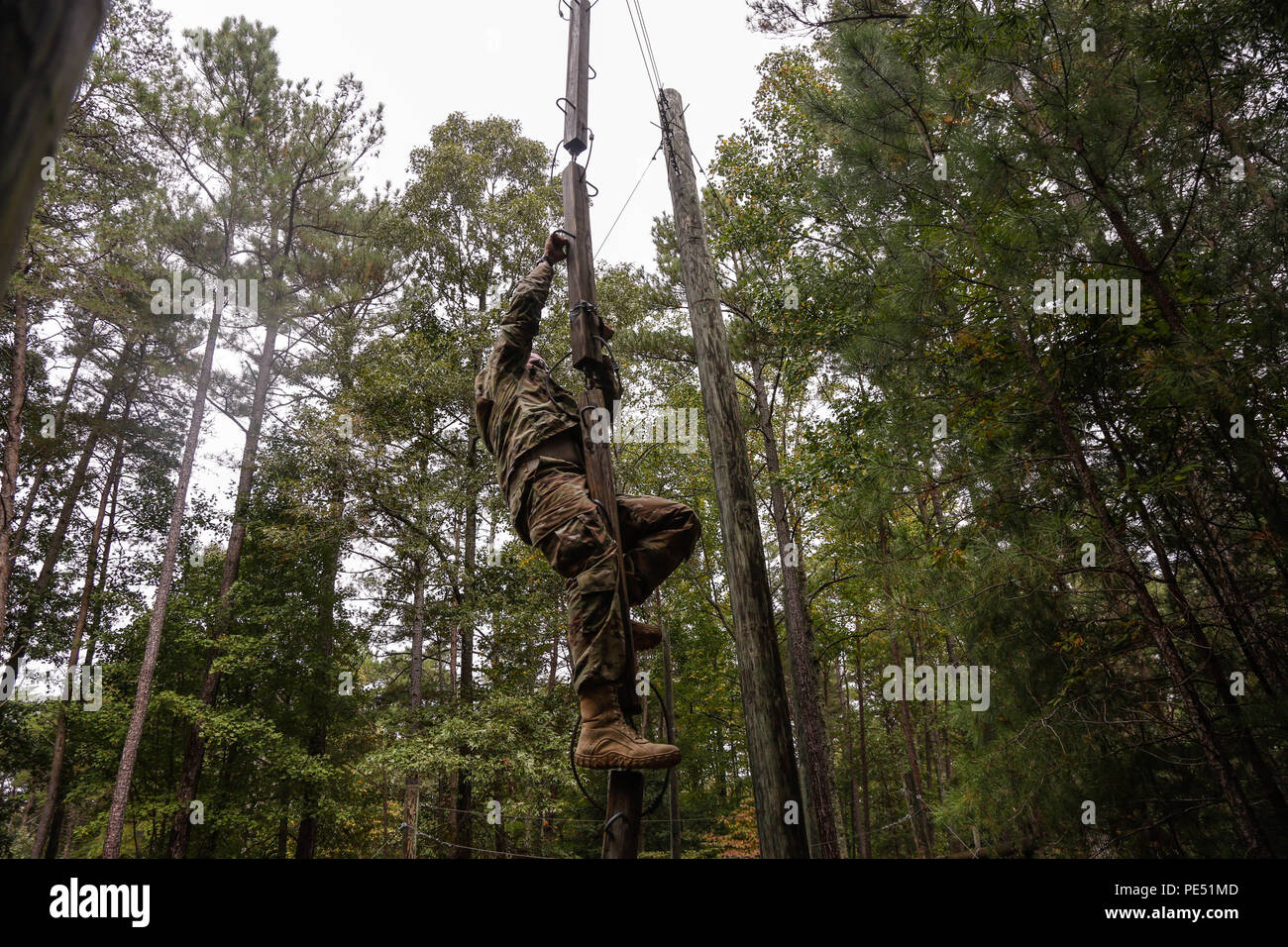 Soldiers from U.S. Army Africa and other commands participated in the ...