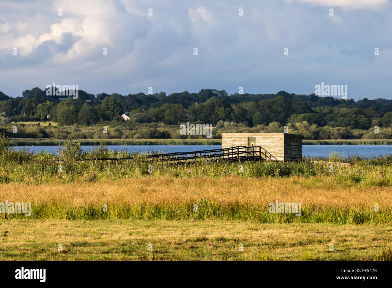 Bird hide beside a lake surrounded by marshland, Portmore Lough, County Antrim, N.Ireland Stock Photo