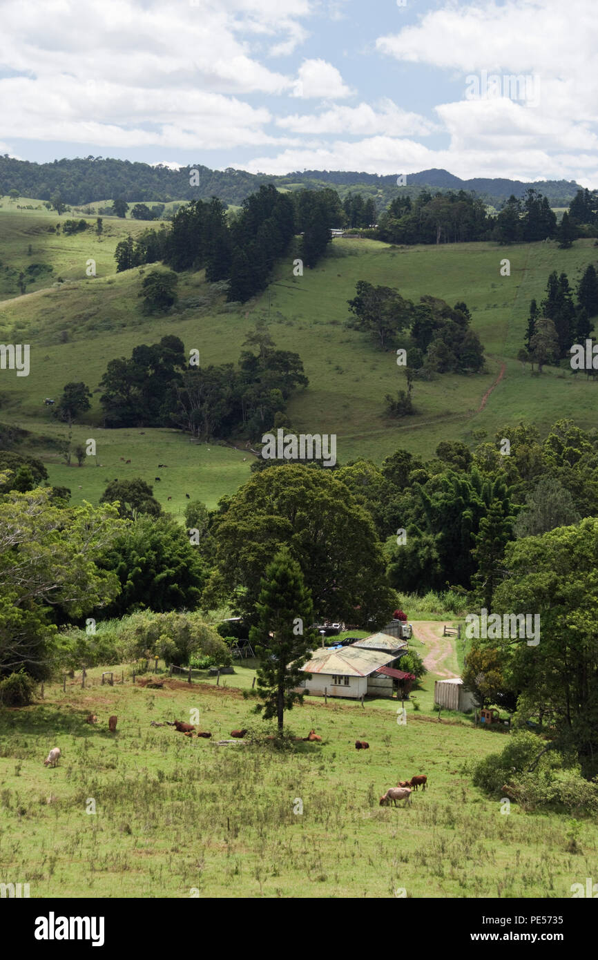 Cattle graze in pastures near a ranch house, on the Atherton Tablelands