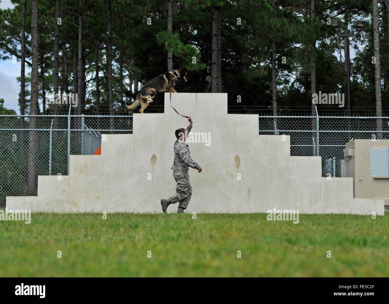 Staff Sgt. Tyler Jones, 325th Security Forces Squadron military working